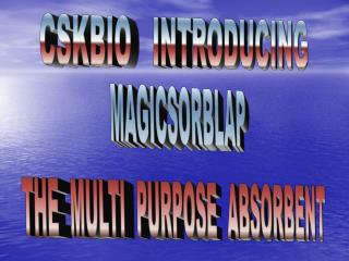 MAGICSORBLAP THE MULTI PURPOSE ABSORBENT