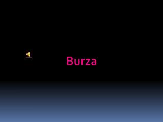 Burza