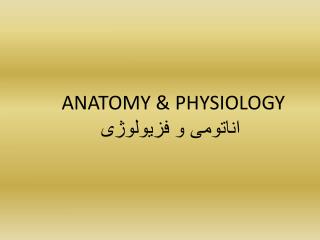 ANATOMY &amp; PHYSIOLOGY اناتومی و فزیولوژی