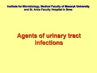 Agents of urinary tract infections