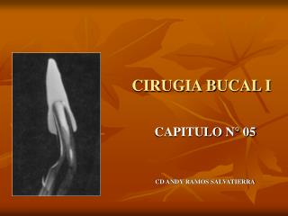 CIRUGIA BUCAL I