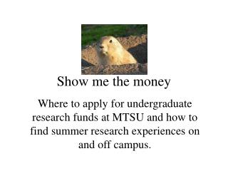 Show me the money