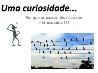 Uma curiosidade...