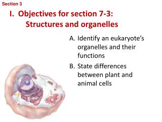 I. Objectives for section 7-3: 	Structures and organelles