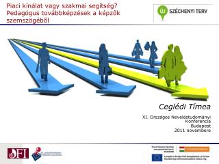 Piaci kínálat vagy szakmai segítség? Pedagógus továbbképzések a képzők szemszögéből