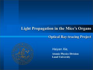 Light Propagation in the Mice’s Organs Optical Ray-tracing Project