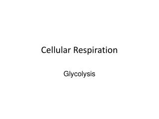 Cellular Respiration