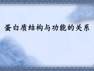 蛋白质结构与功能的关系