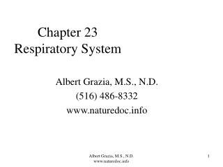 Chapter 23 Respiratory System