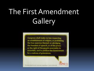 The First Amendment Gallery