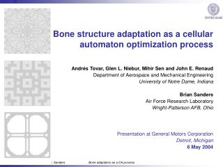 Bone structure adaptation as a cellular automaton optimization process