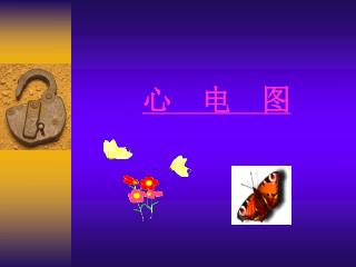 心 电 图