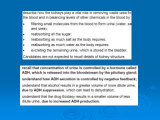 How the kidney works