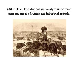 SSUSH12: The student will analyze important consequences of American industrial growth.