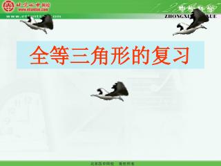 全等三角形的复习
