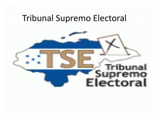 Tribunal Supremo E lectoral