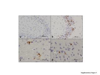 Supplementary Figure 3