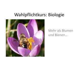 Wahlpflichtkurs: Biologie