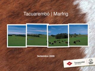 Tacuarembó | Marfrig