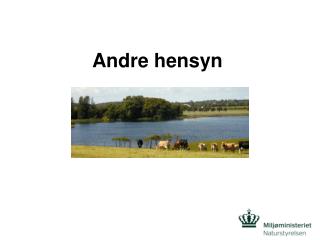 Andre hensyn