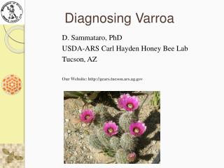 Diagnosing Varroa