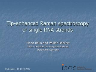 Tip-enhanced Raman spectroscopy of single RNA strands