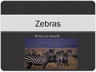 Zebras