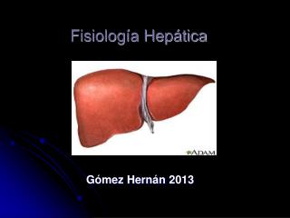 Fisiología Hepática