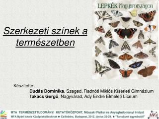 Szerkezeti színek a természetben