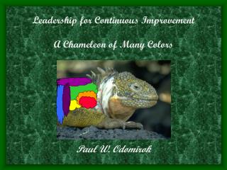 Leadership for Continuous Improvement A Chameleon of Many Colors