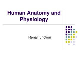 Human Anatomy and Physiology