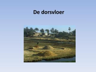De dorsvloer