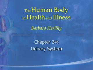 Chapter 24: Urinary System