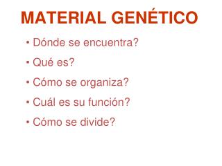 Dónde se encuentra? Qué es? Cómo se organiza ? Cuál es su función? Cómo se divide?