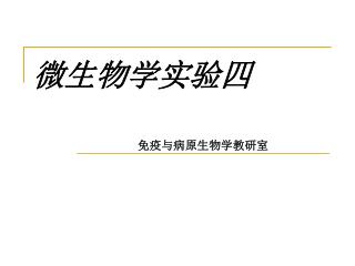 微生物学实验四