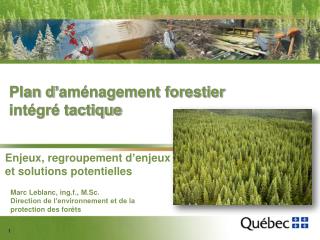 Plan d’aménagement forestier intégré tactique