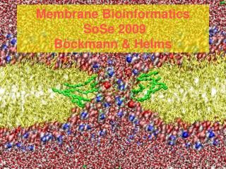 Membrane Bioinformatics SoSe 2009 Böckmann &amp; Helms