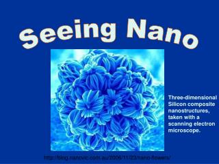 Seeing Nano