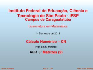 Cálculo Numérico – CN Prof. Lineu Mialaret Aula 5: Matrizes (2)