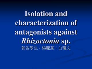 Isolation and characterization of antagonists against Rhizoctonia sp.