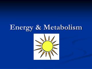 Energy &amp; Metabolism