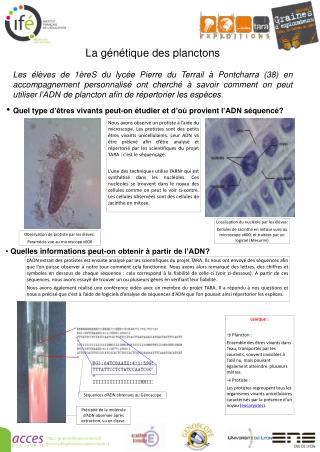 La génétique des planctons