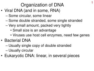 Organization of DNA