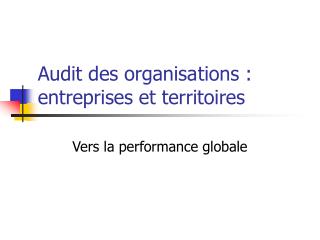Audit des organisa	tions : entreprises et territoires
