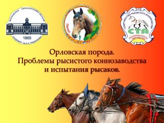 Орловская порода . Проблемы рысистого коннозаводства и испытания рысаков .