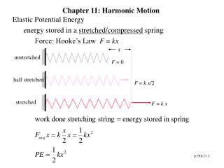 Chapter 11: Harmonic Motion