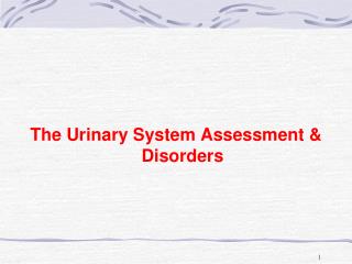 The Urinary System Assessment &amp; Disorders