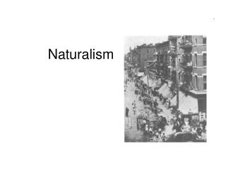 Naturalism