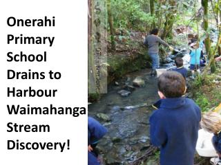 Onerahi Primary School Drains to Harbour Waimahanga Stream Discovery!