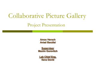 Collaborative Picture Gallery Project Presentation